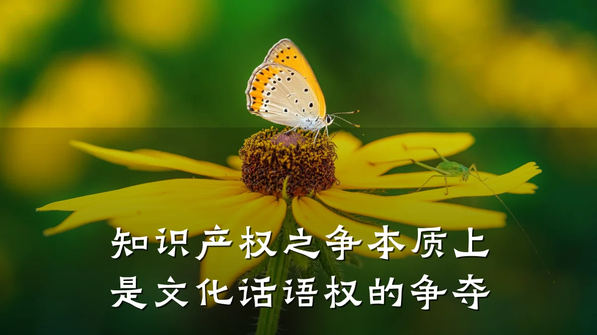 知识产权之争本质上是文化话语权的争夺