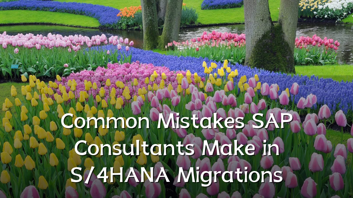 Common Mistakes SAP Consultants Make in S/4HANA Migrations