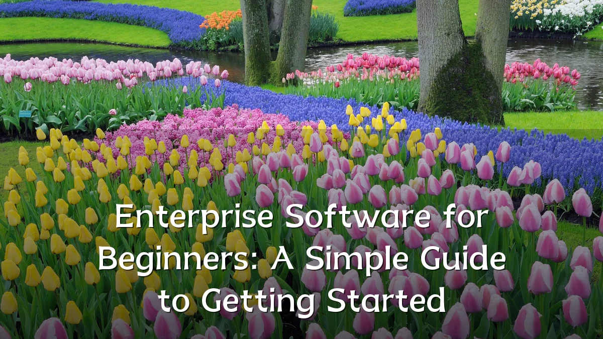 Enterprise Software for Beginners: A Simple Guide to Getting Started