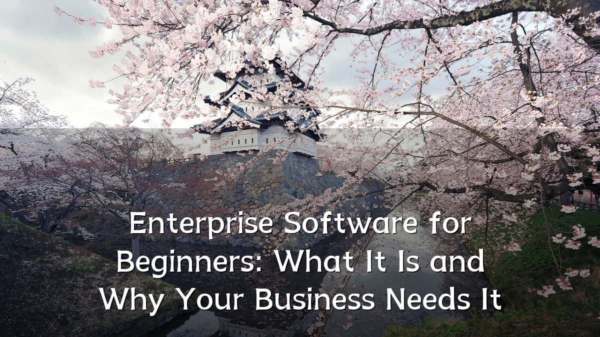 Enterprise Software for Beginners: What It Is and Why Your Business Needs It