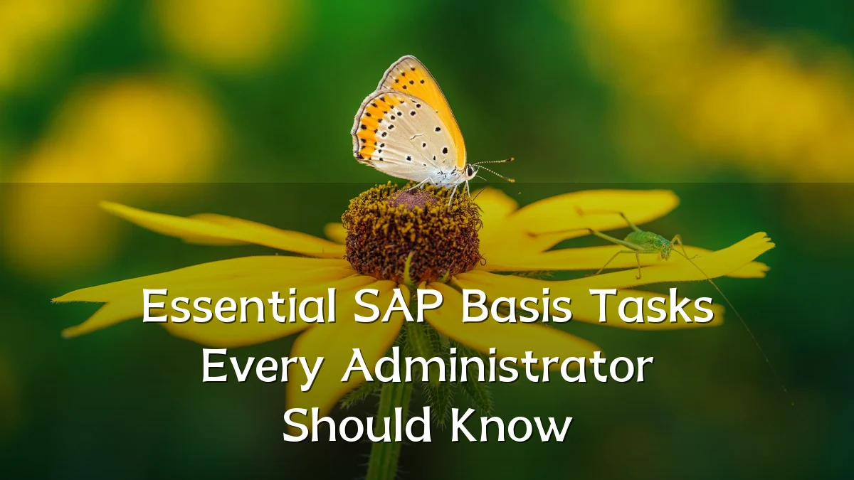 Essential SAP Basis Tasks Every Administrator Should Know
