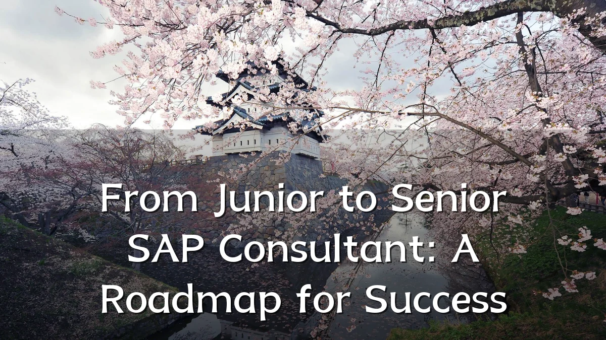 From Junior to Senior SAP Consultant: A Roadmap for Success