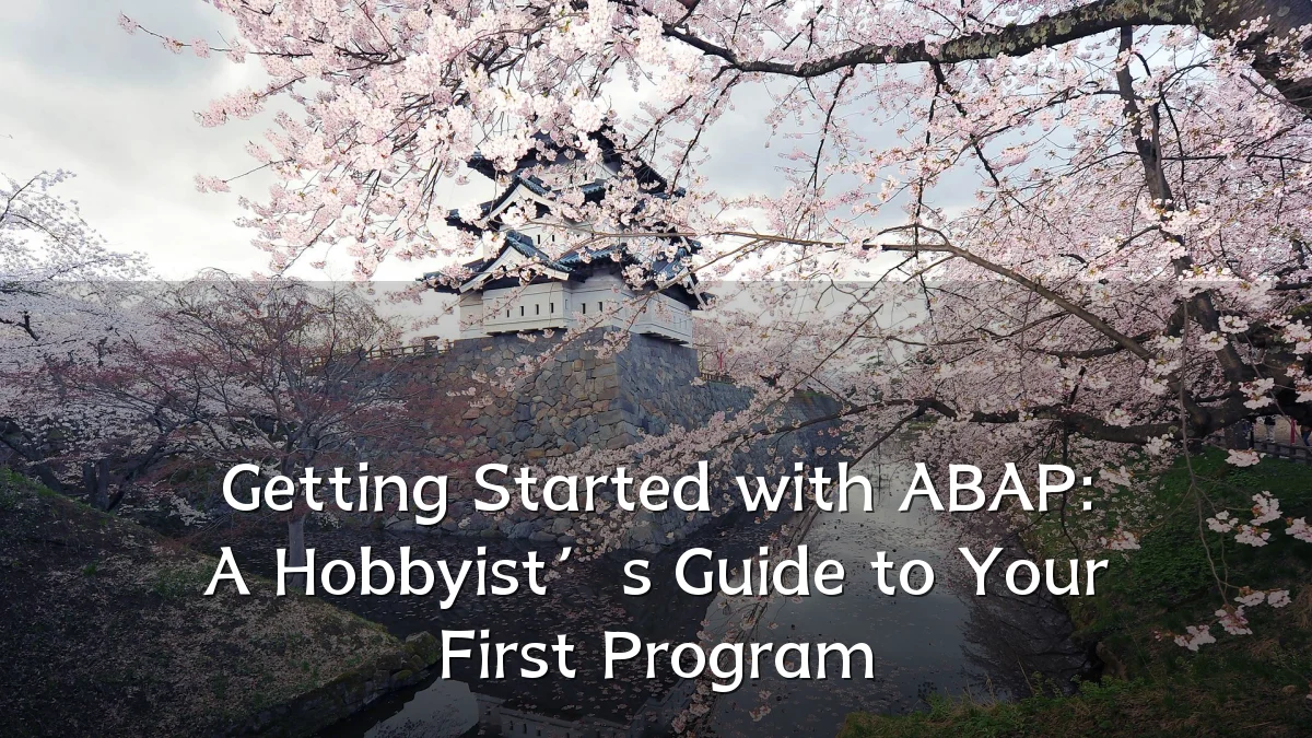 Getting Started with ABAP: A Hobbyist’s Guide to Your First Program