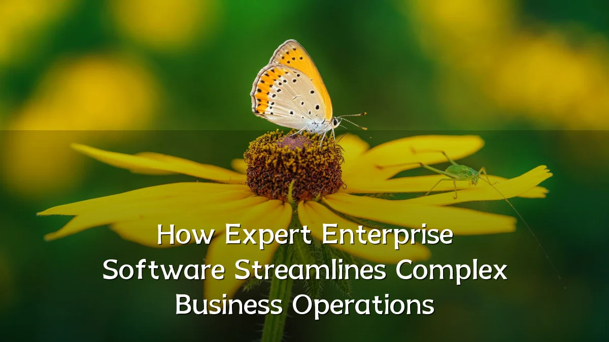 How Expert Enterprise Software Streamlines Complex Business Operations
