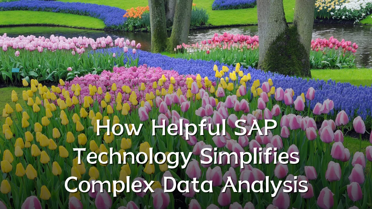 How Helpful SAP Technology Simplifies Complex Data Analysis