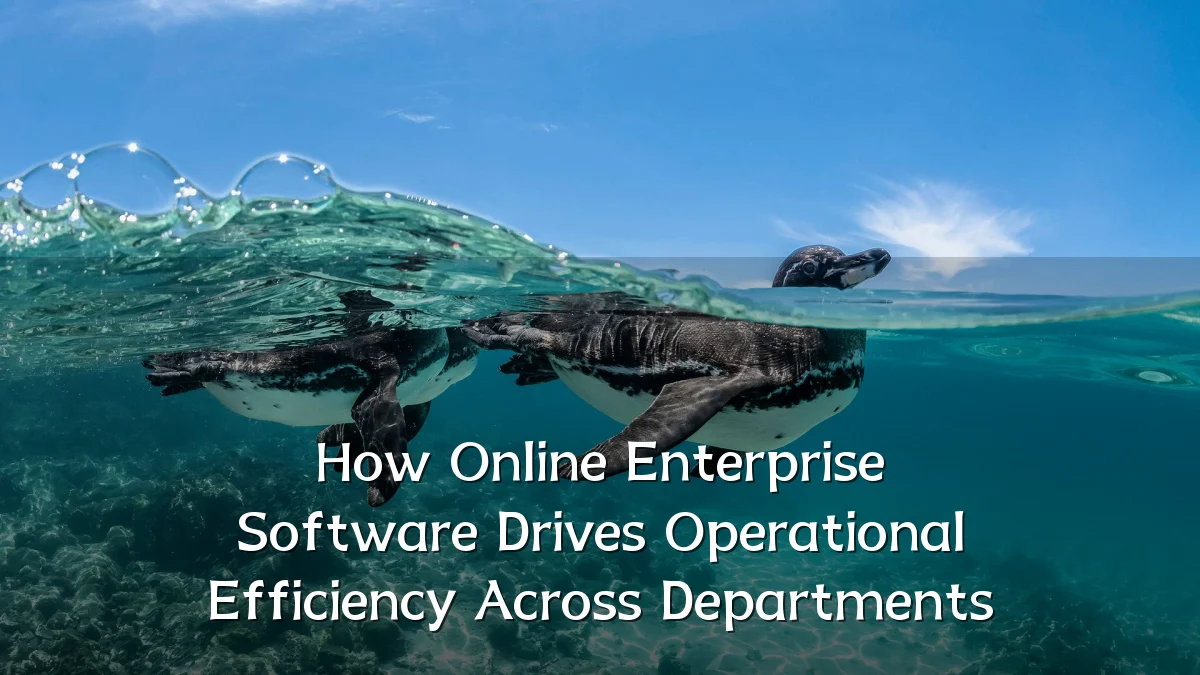 How Online Enterprise Software Drives Operational Efficiency Across Departments