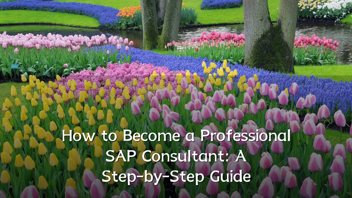 How to Become a Professional SAP Consultant: A Step-by-Step Guide