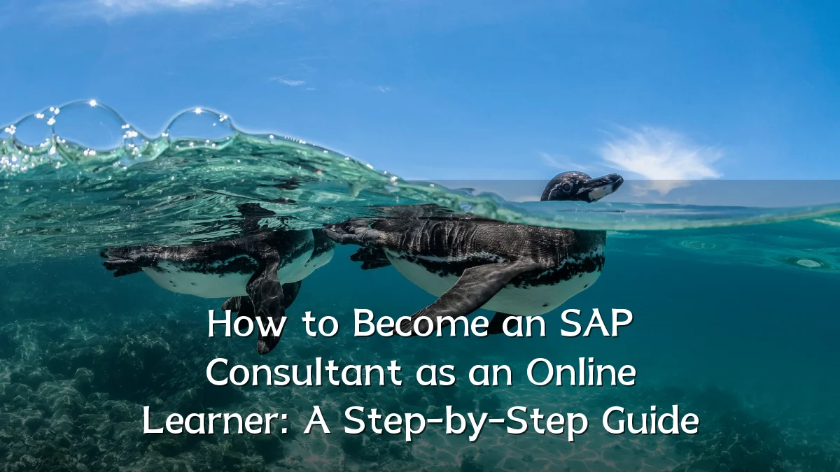 How to Become an SAP Consultant as an Online Learner: A Step-by-Step Guide