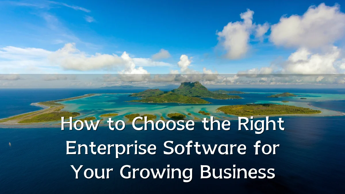 How to Choose the Right Enterprise Software for Your Growing Business