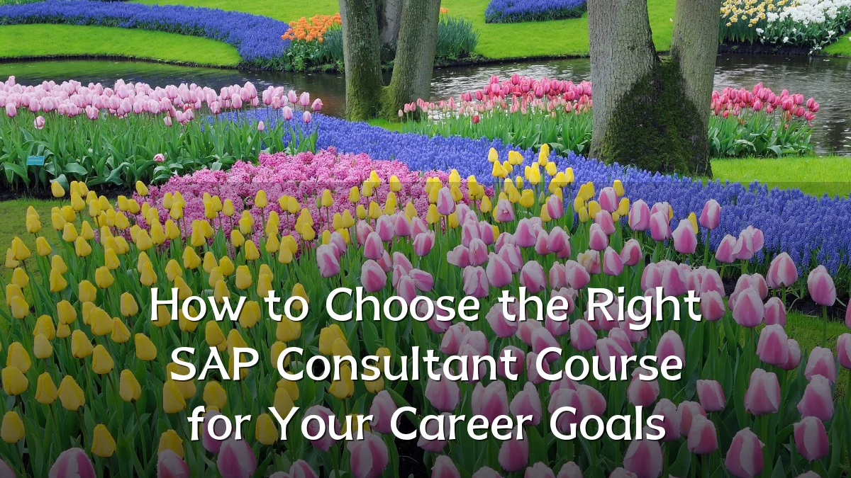 How to Choose the Right SAP Consultant Course for Your Career Goals