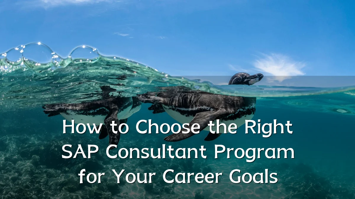 How to Choose the Right SAP Consultant Program for Your Career Goals