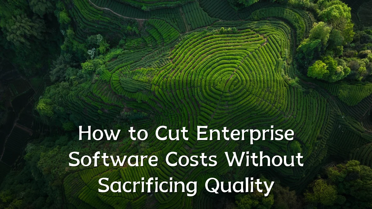 How to Cut Enterprise Software Costs Without Sacrificing Quality