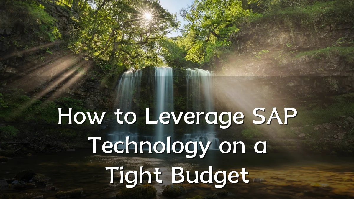 How to Leverage SAP Technology on a Tight Budget