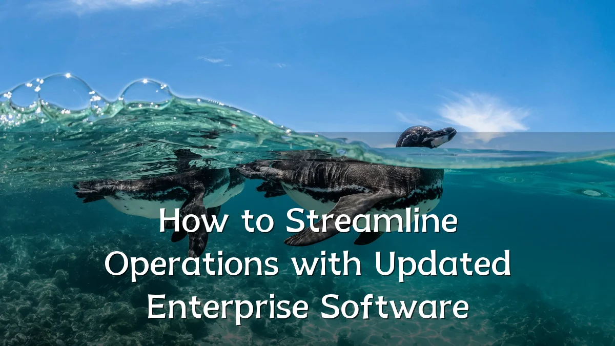 How to Streamline Operations with Updated Enterprise Software