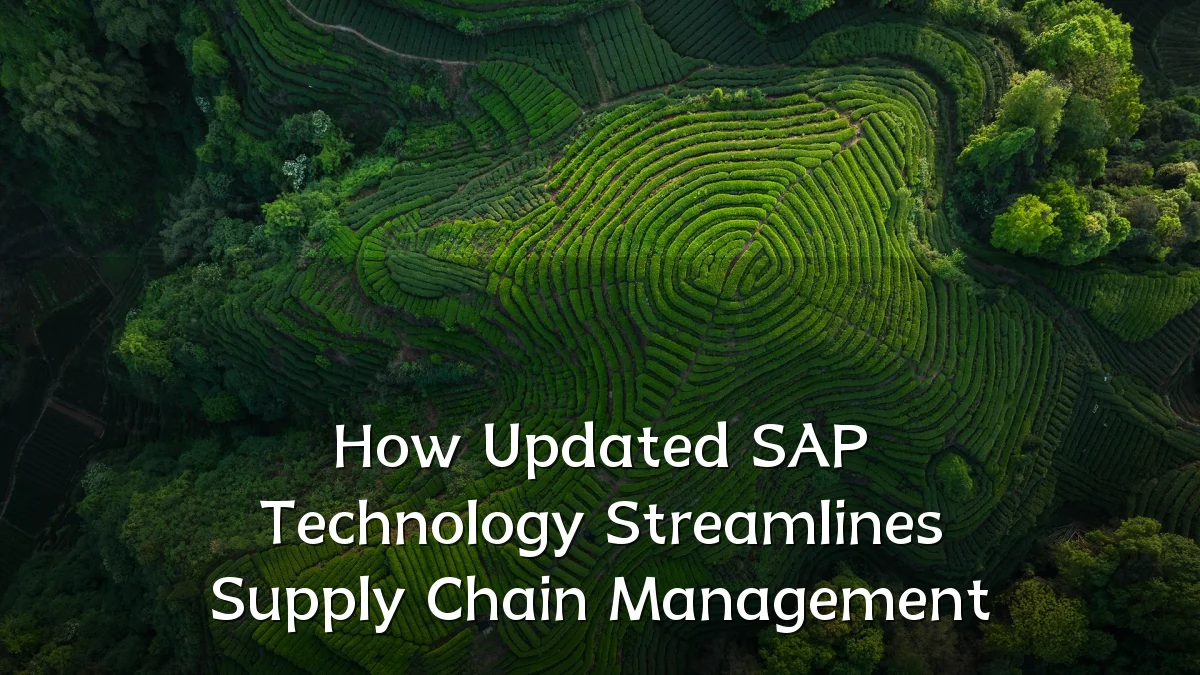 How Updated SAP Technology Streamlines Supply Chain Management