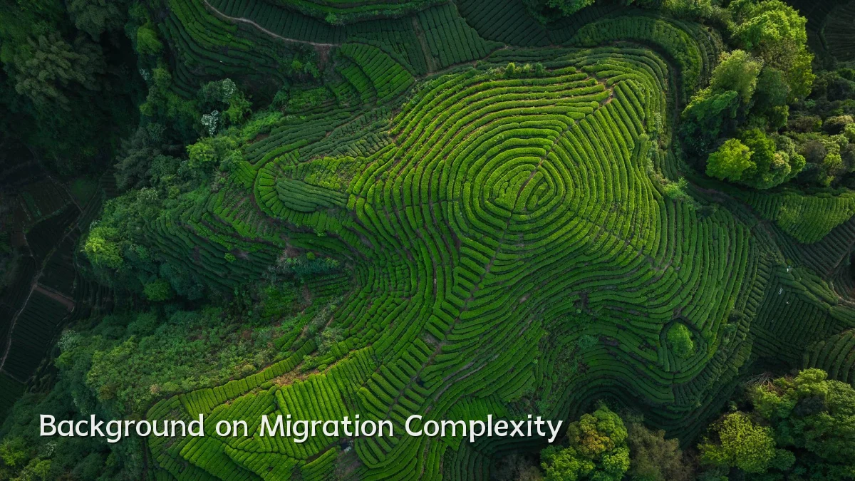 Background on Migration Complexity