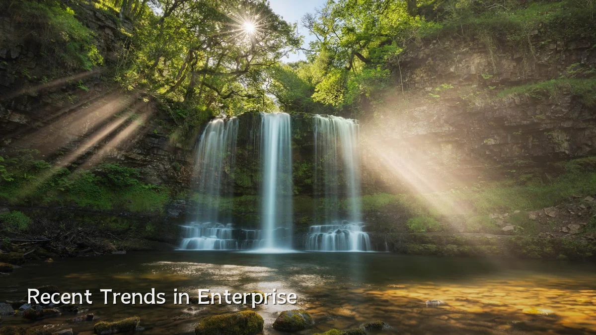 Recent Trends in Enterprise