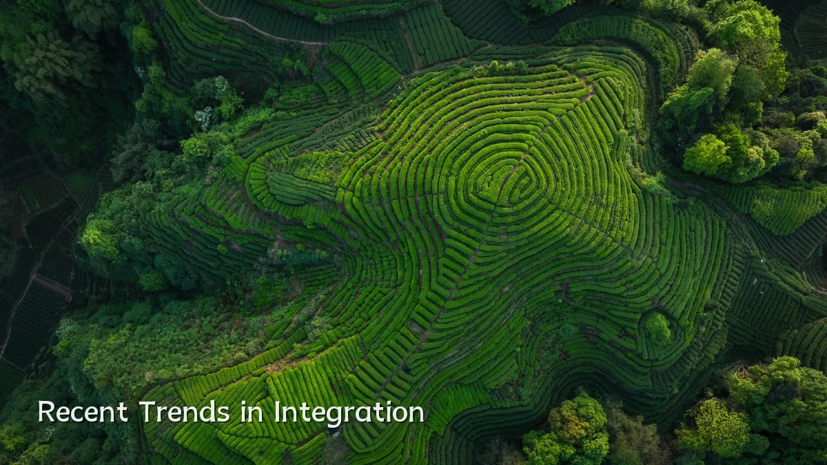 Recent Trends in Integration