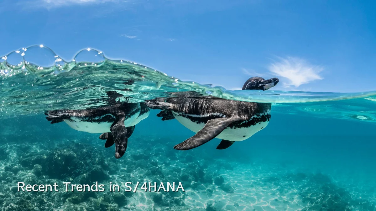 Recent Trends in S/4HANA