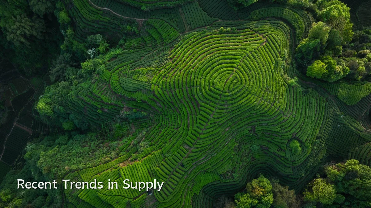 Recent Trends in Supply
