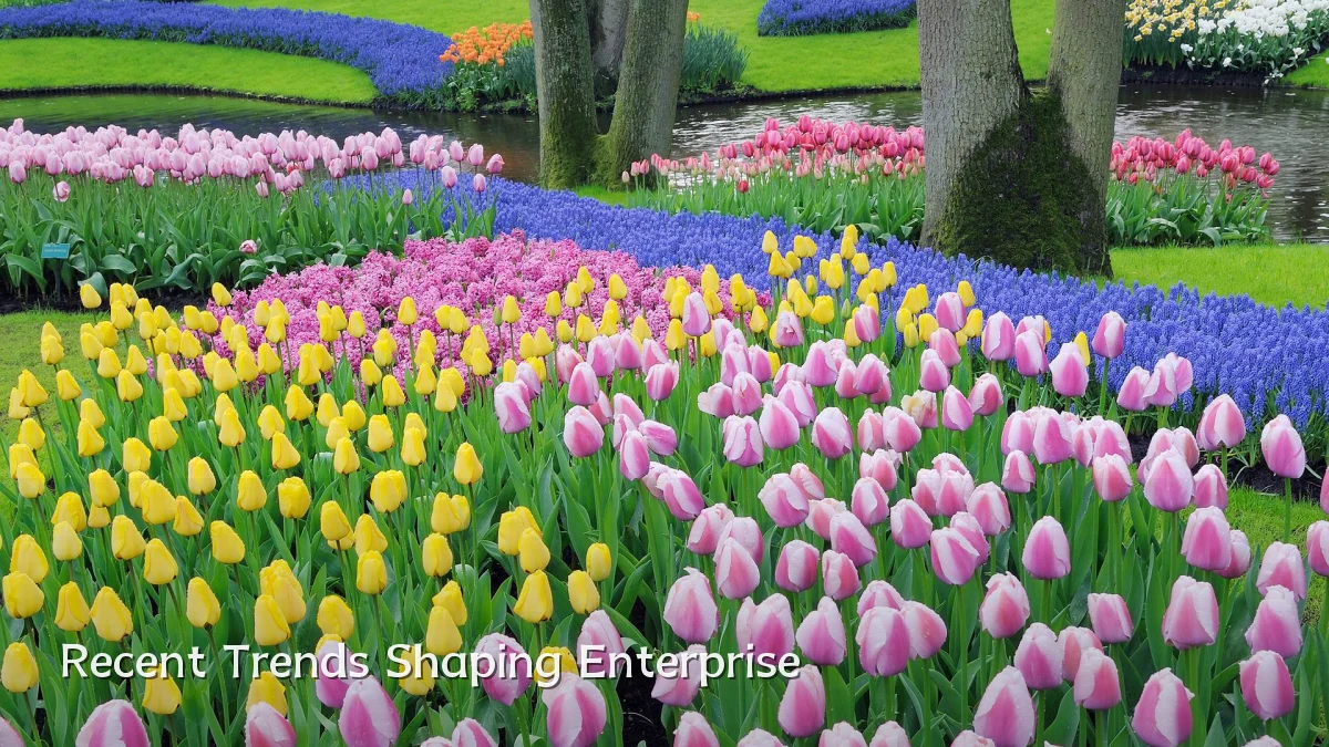 Recent Trends Shaping Enterprise