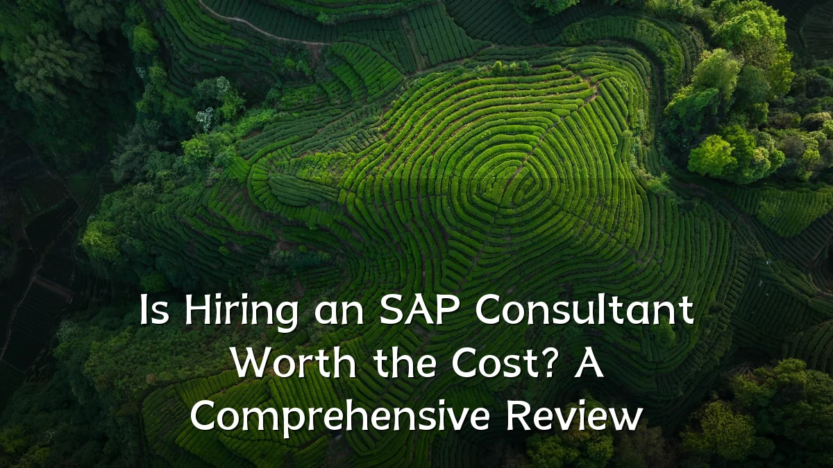 Is Hiring an SAP Consultant Worth the Cost? A Comprehensive Review