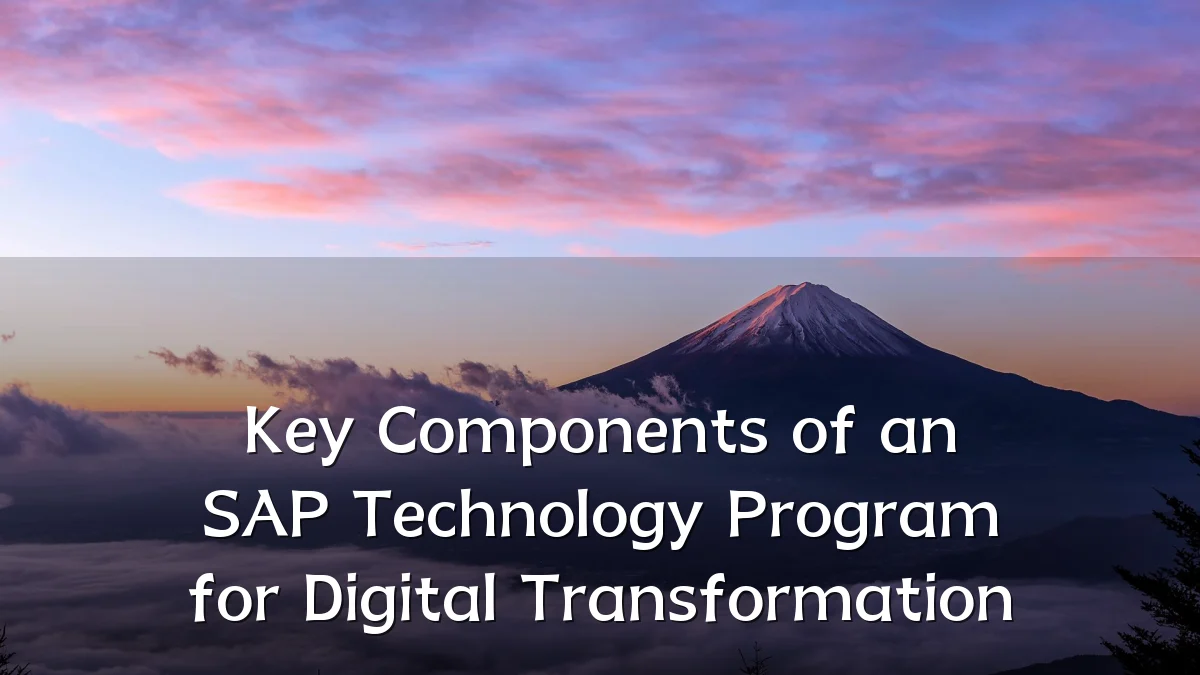 Key Components of an SAP Technology Program for Digital Transformation