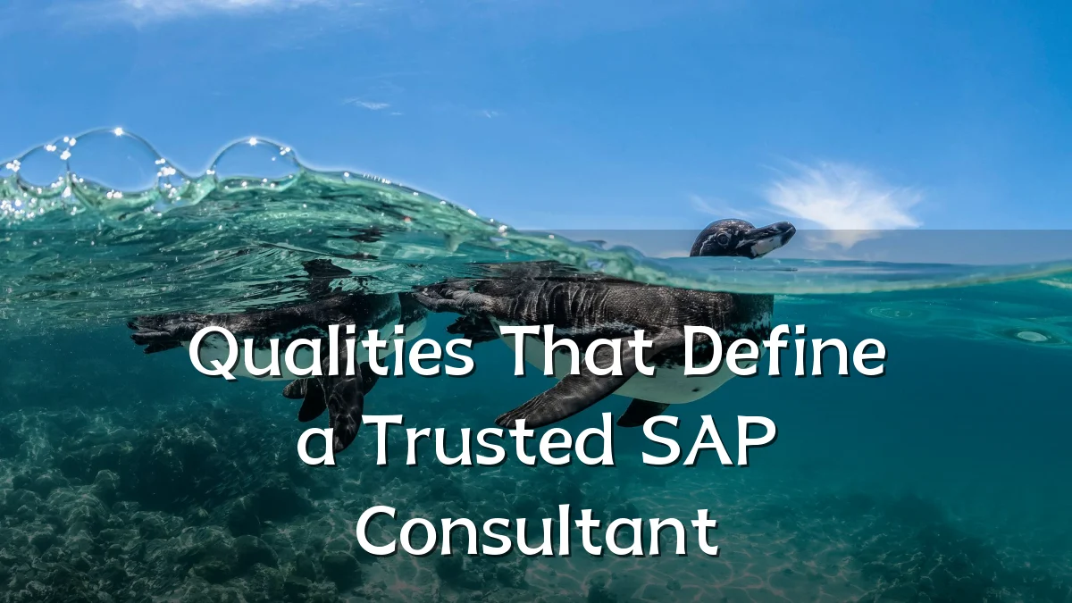 Qualities That Define a Trusted SAP Consultant