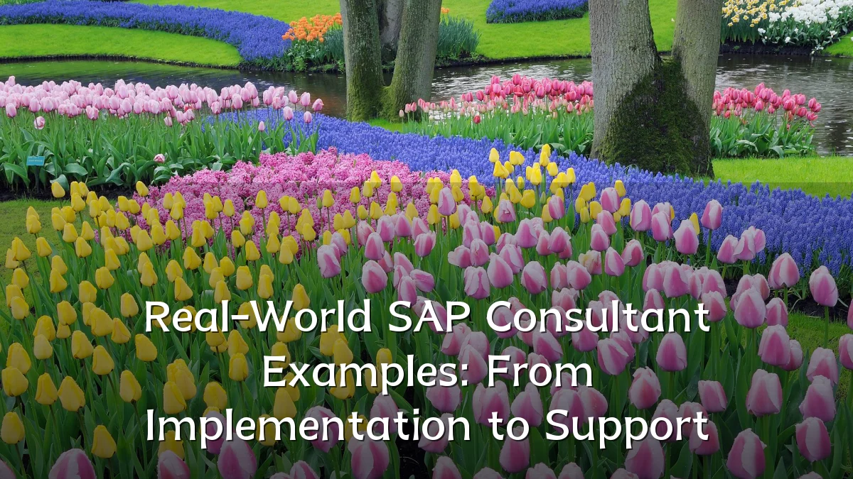 Real-World SAP Consultant Examples: From Implementation to Support