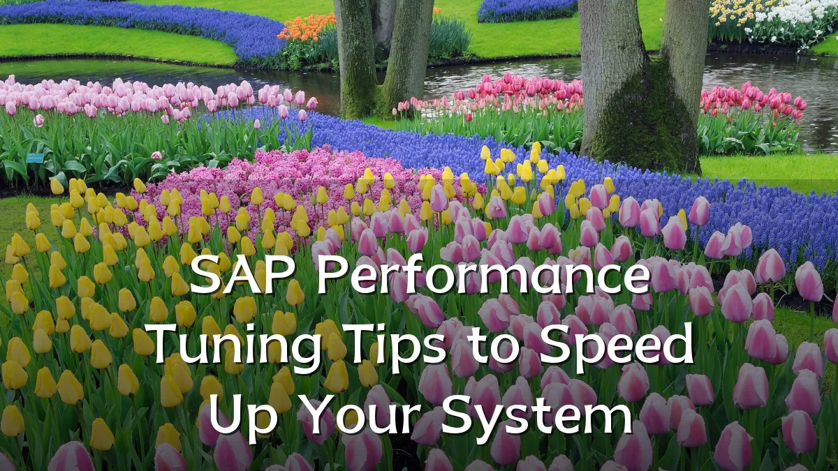 SAP Performance Tuning Tips to Speed Up Your System