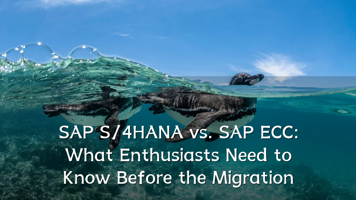 SAP S/4HANA vs. SAP ECC: What Enthusiasts Need to Know Before the Migration