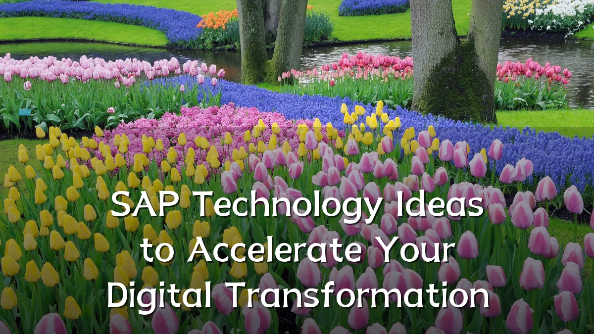 SAP Technology Ideas to Accelerate Your Digital Transformation