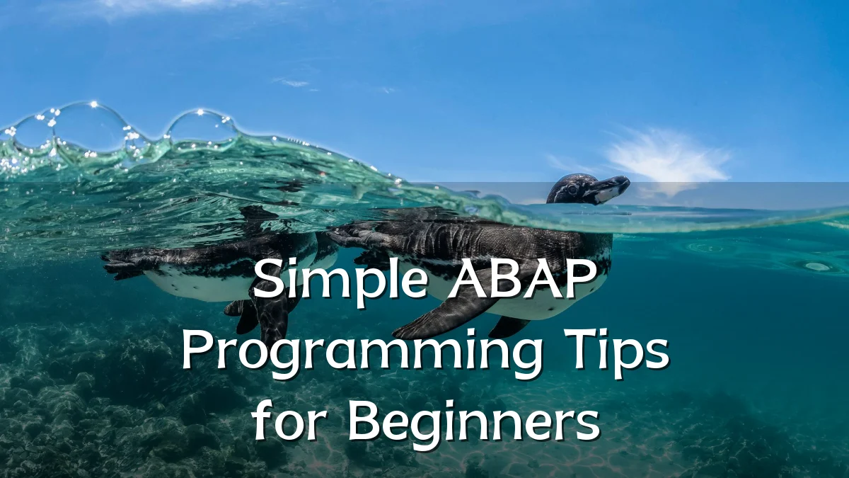 Simple ABAP Programming Tips for Beginners