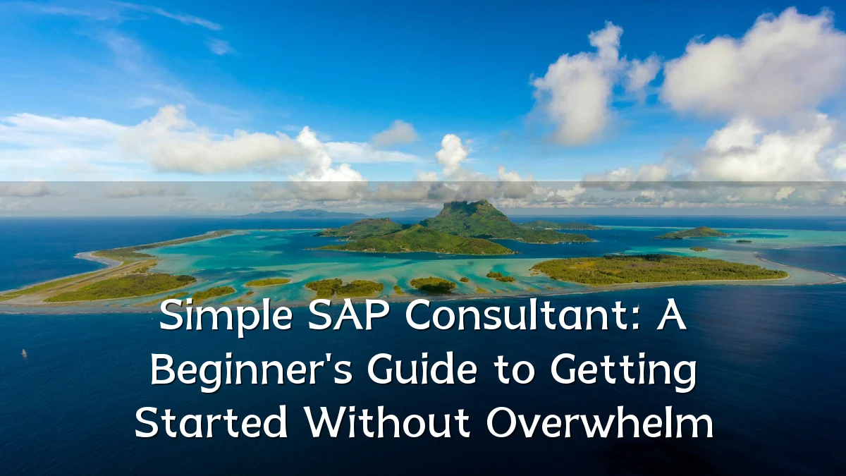 Simple SAP Consultant: A Beginner's Guide to Getting Started Without Overwhelm