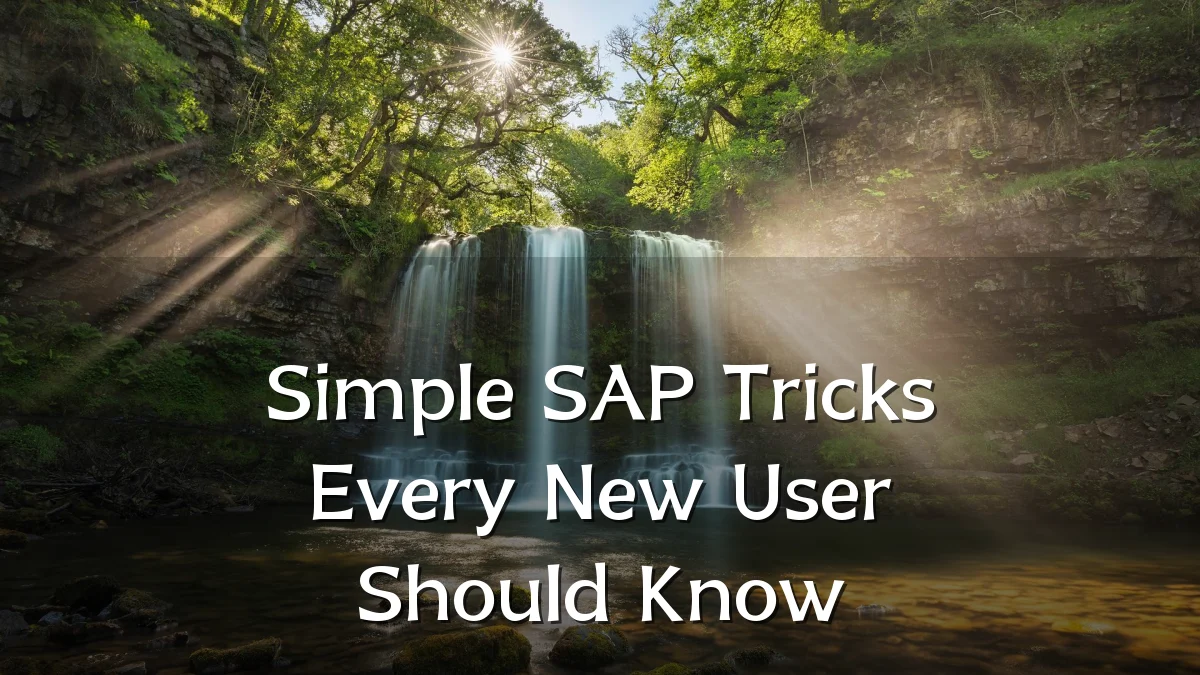 Simple SAP Tricks Every New User Should Know
