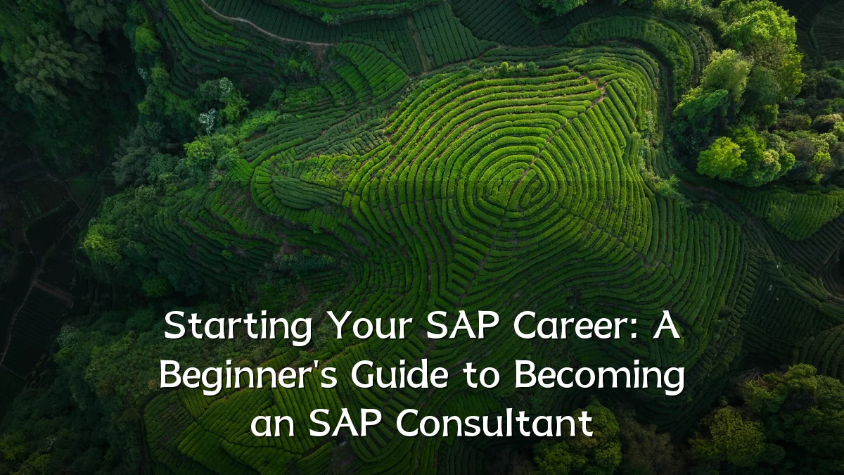 Starting Your SAP Career: A Beginner's Guide to Becoming an SAP Consultant