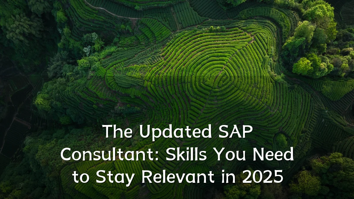 The Updated SAP Consultant: Skills You Need to Stay Relevant in 2025