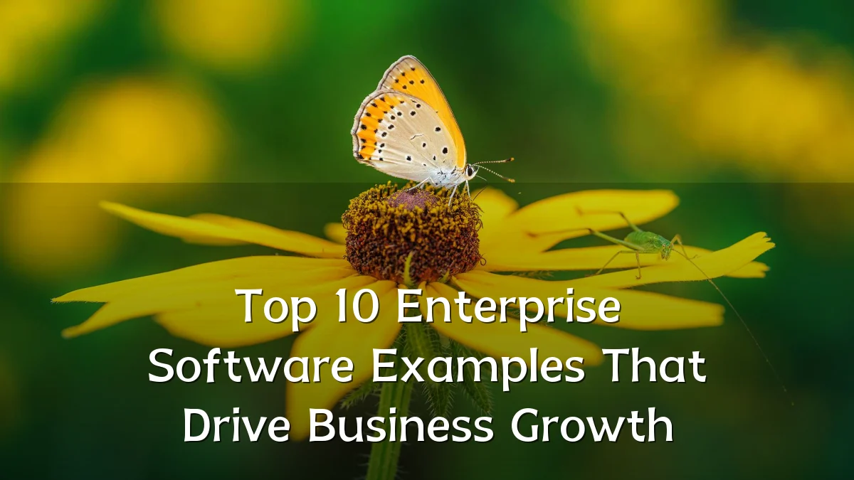 Top 10 Enterprise Software Examples That Drive Business Growth