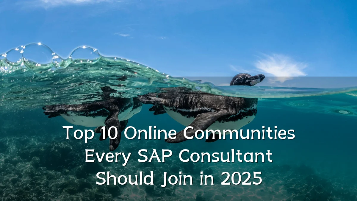 Top 10 Online Communities Every SAP Consultant Should Join in 2025