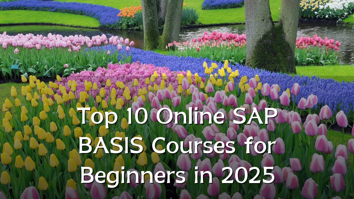 Top 10 Online SAP BASIS Courses for Beginners in 2025