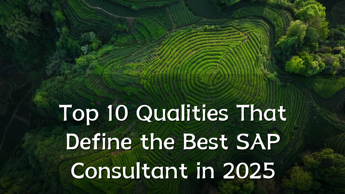 Top 10 Qualities That Define the Best SAP Consultant in 2025