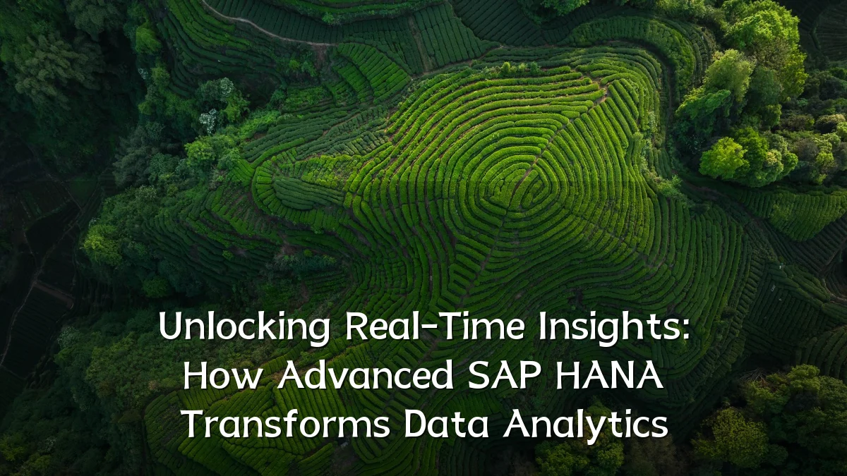 Unlocking Real-Time Insights: How Advanced SAP HANA Transforms Data Analytics