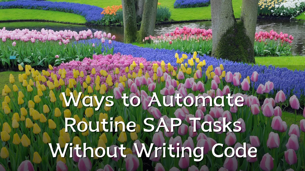 Ways to Automate Routine SAP Tasks Without Writing Code