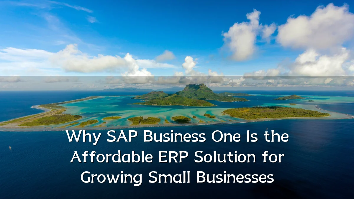 Why SAP Business One Is the Affordable ERP Solution for Growing Small Businesses