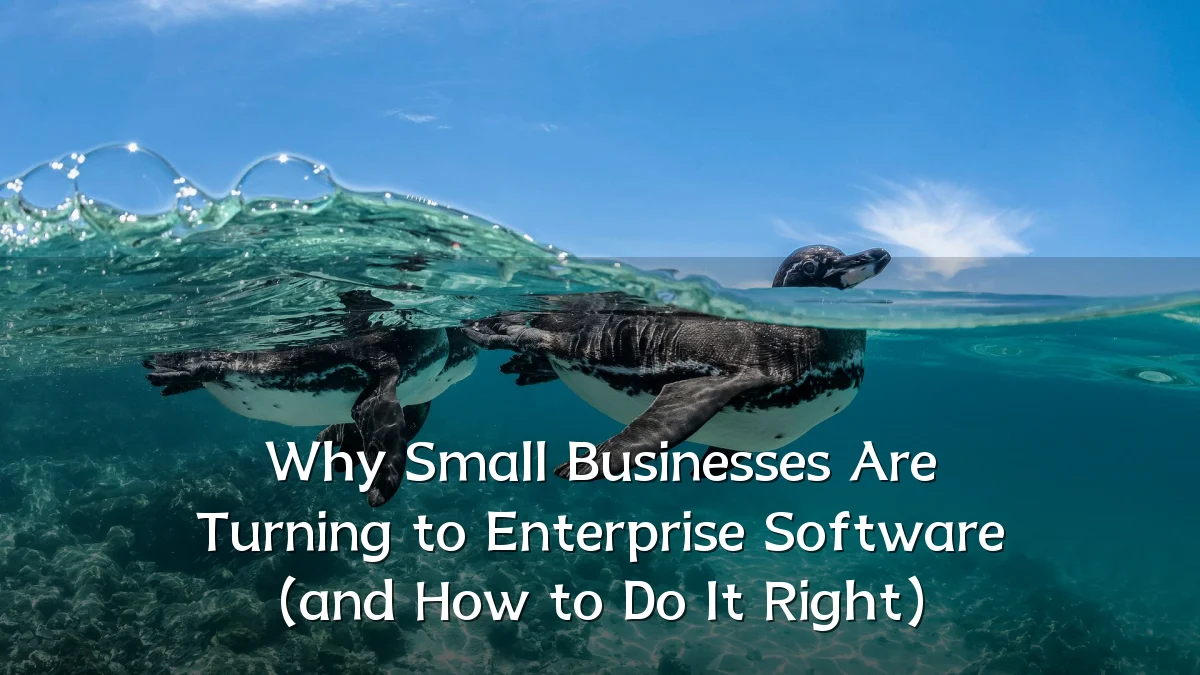 Why Small Businesses Are Turning to Enterprise Software (and How to Do It Right)