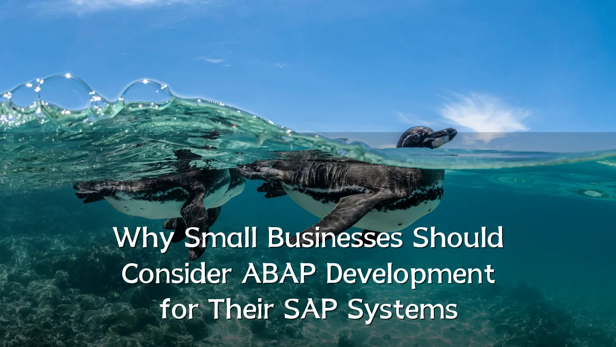 Why Small Businesses Should Consider ABAP Development for Their SAP Systems