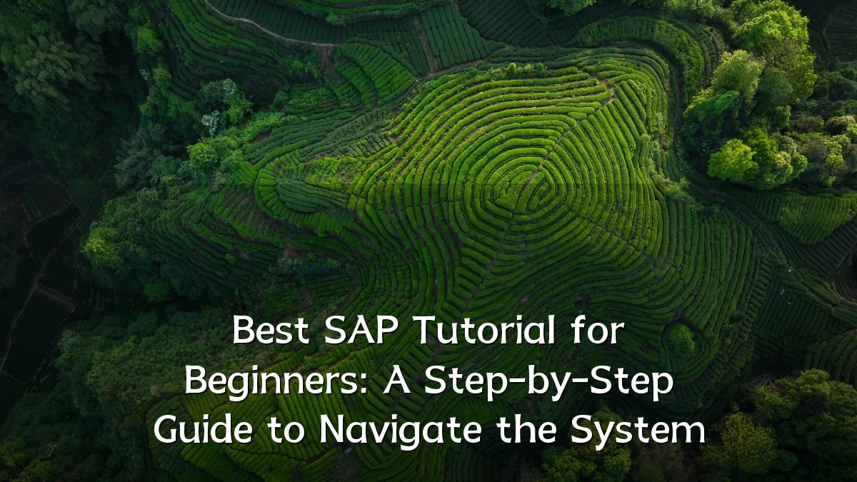 Best SAP Tutorial for Beginners: A Step-by-Step Guide to Navigate the System