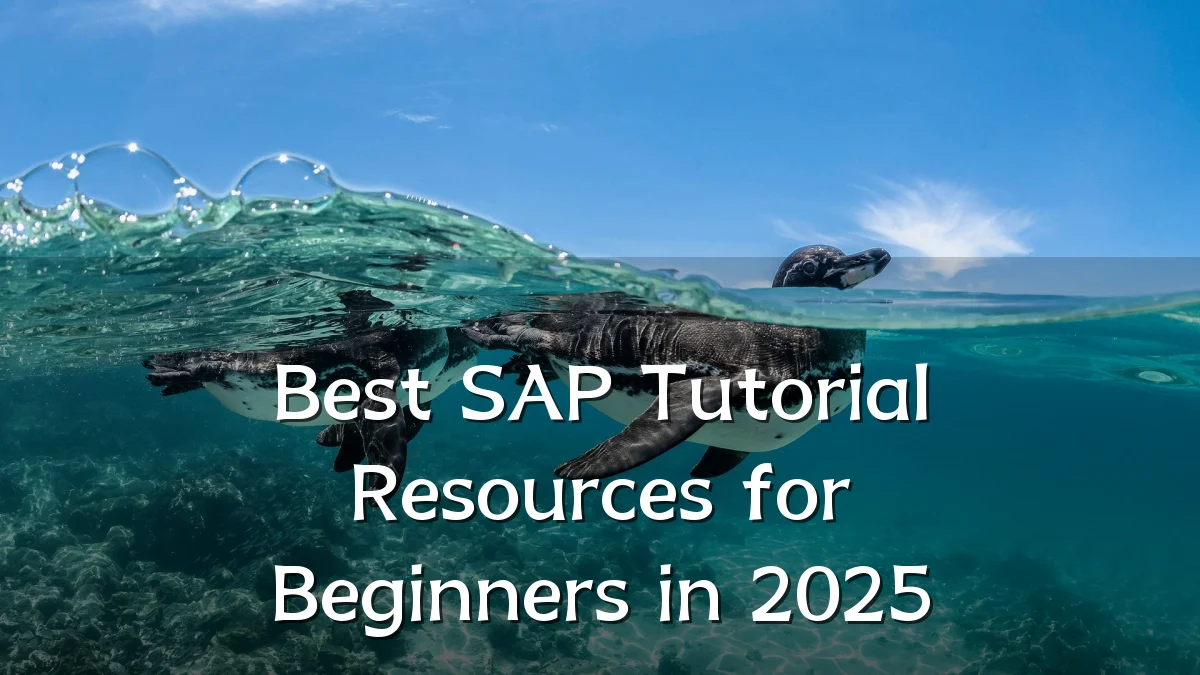Best SAP Tutorial Resources for Beginners in 2025