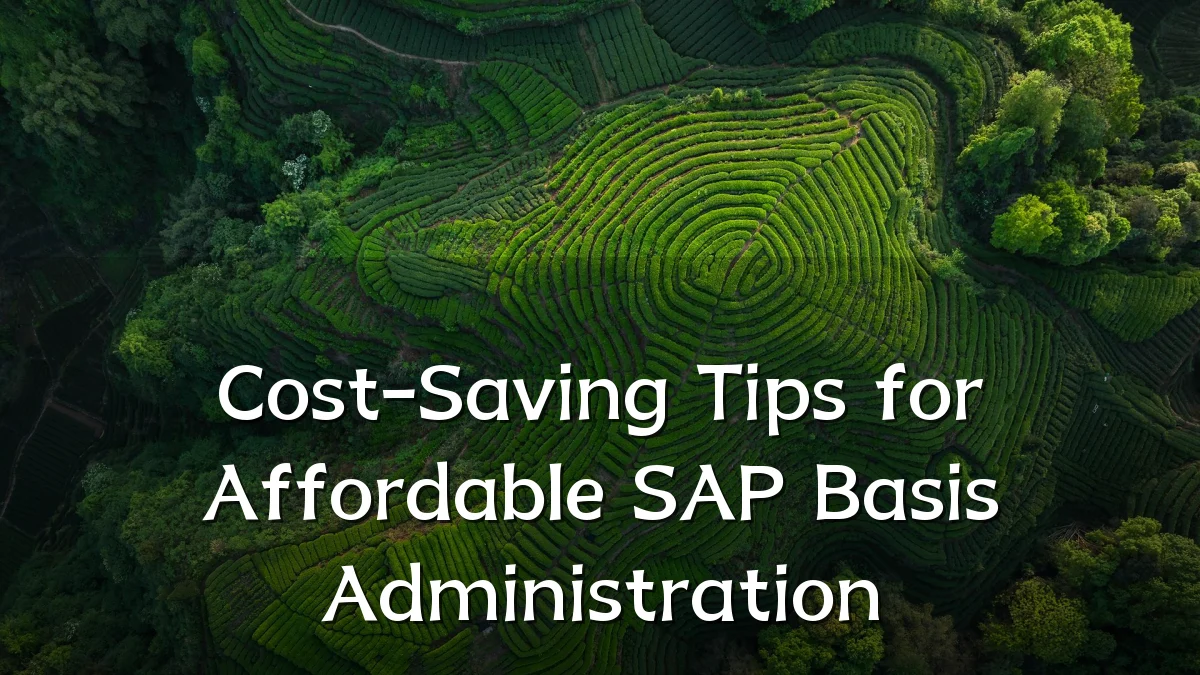 Cost-Saving Tips for Affordable SAP Basis Administration