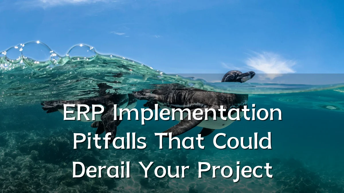 ERP Implementation Pitfalls That Could Derail Your Project